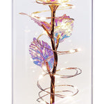 Gold Foil Christmas Gift Valentine's Day Gift